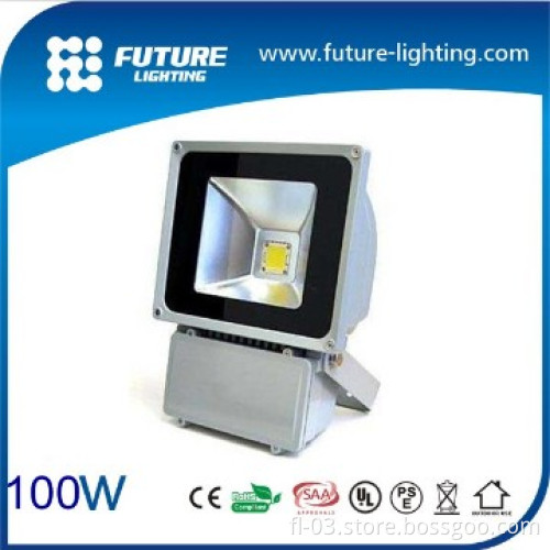 SAA approval for Russia outdoor high power 100w led floodlight